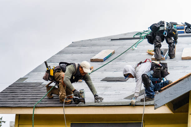 Professional Gutter Installation technician working in Taylor Ridge, IL